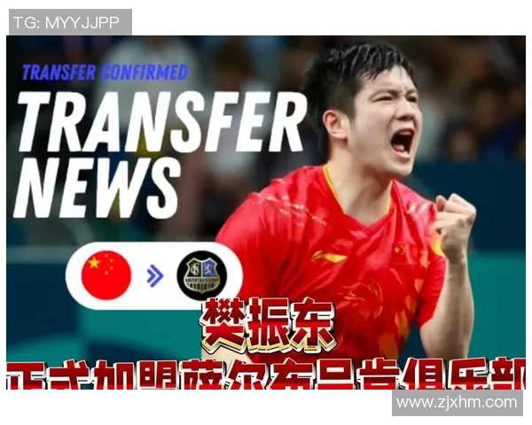樊振东勇闯德甲联赛乒乓球界新篇章乒协全力支持背后故事揭秘 樊振东勇闯德甲联赛乒乓球界新篇章乒协全力支持背后故事揭秘